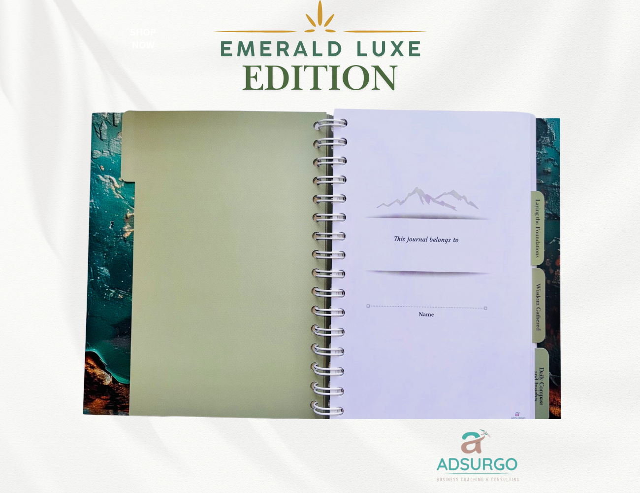 My Journey to Greatness Daily Journal Emerald Luxe Edition - Image 4