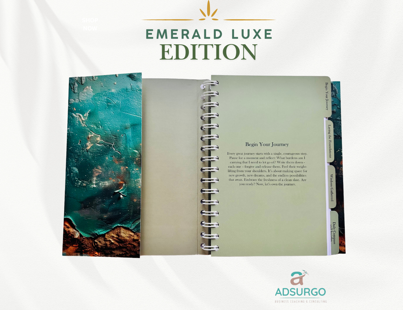 My Journey to Greatness Daily Journal Emerald Luxe Edition - Image 3